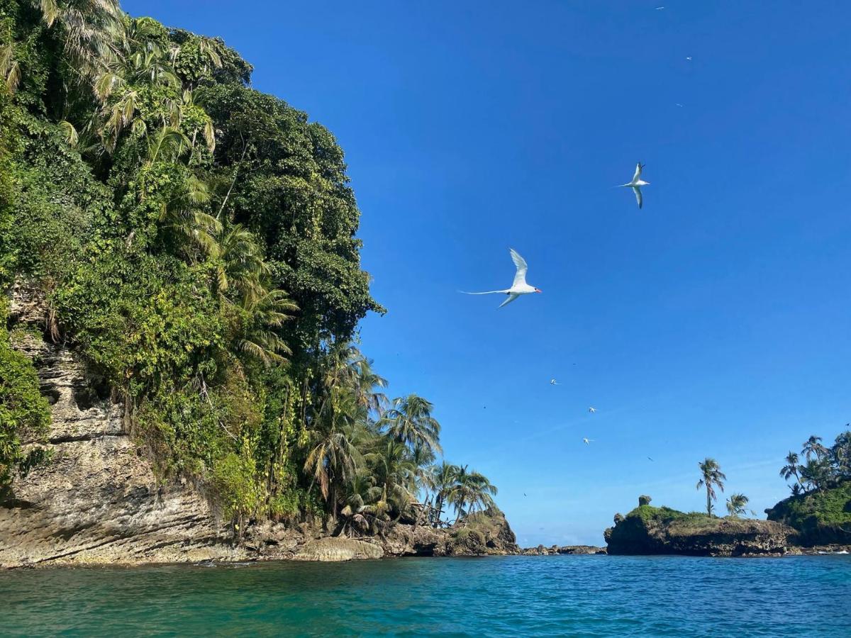 Bird Island Bungalows Bocas Town Exterior foto