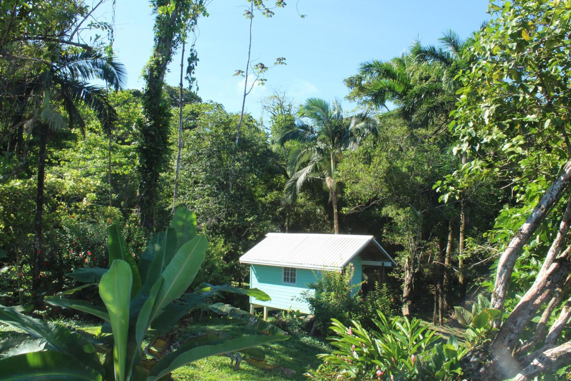 Bird Island Bungalows Bocas Town Quarto foto